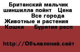 Британский мальчик шиншилла-пойнт › Цена ­ 5 000 - Все города Животные и растения » Кошки   . Бурятия респ.